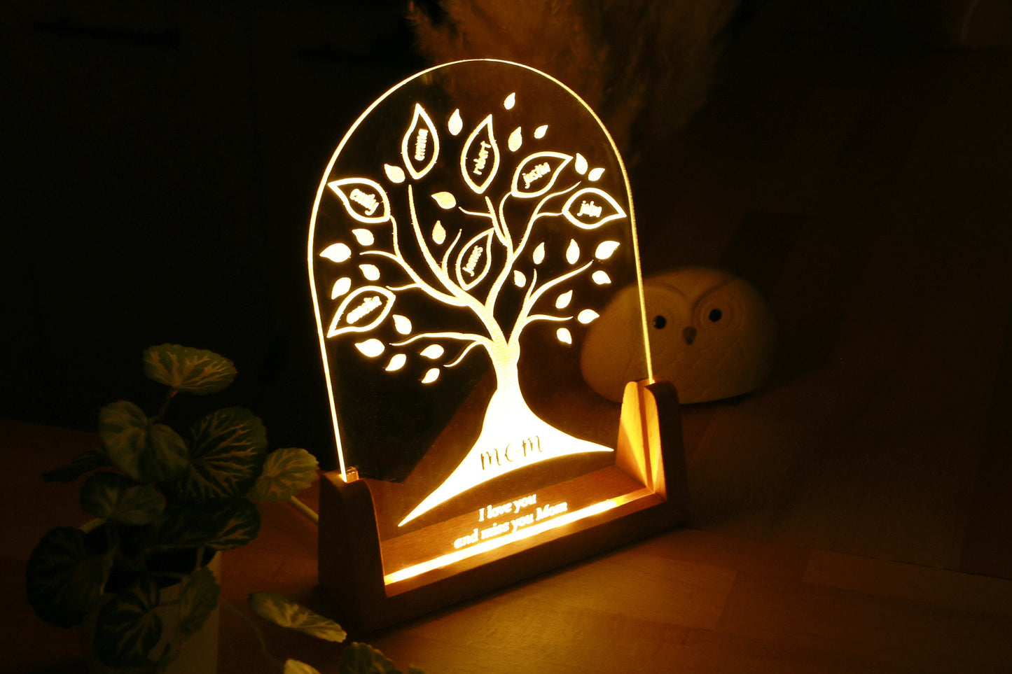 Mom's Christmas Gift, Family Tree Keepsake, Personalized LED Night Light